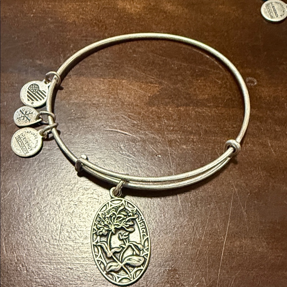Alex and Ani Silver Charm Bracelet